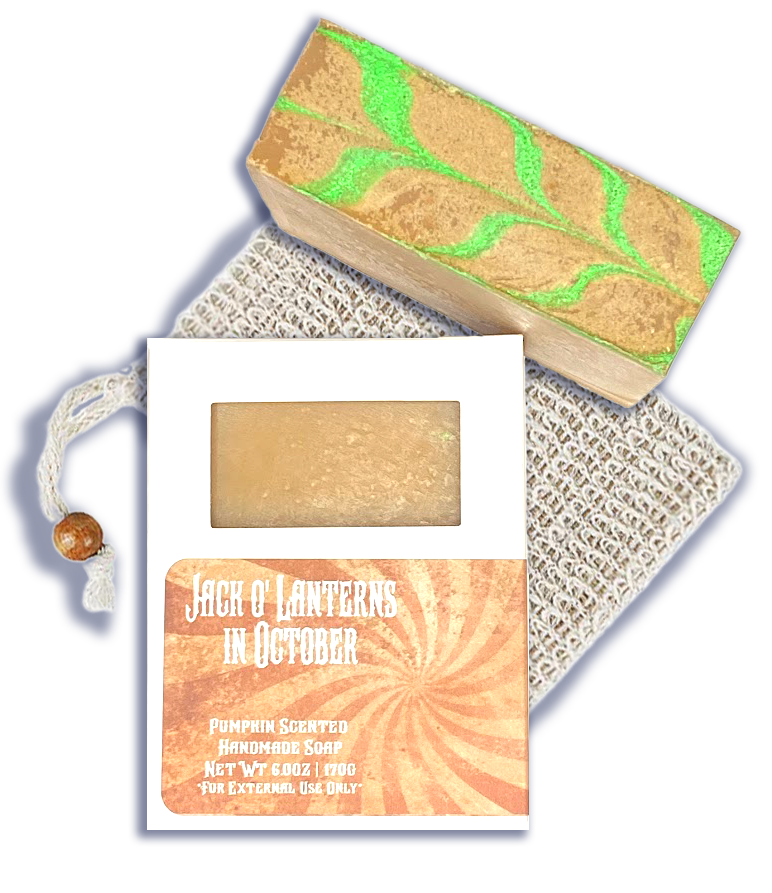 Pumpkin Soap & Scrubber Bag